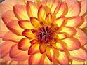 Parc floral 014